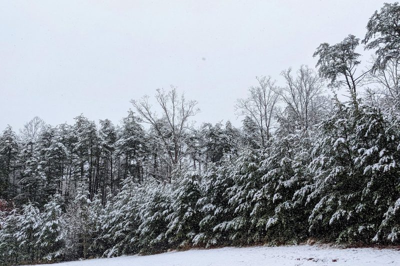 Winter Is Almost Over. Winter Is Far From Over.
