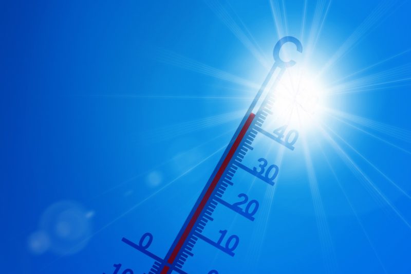 Heat Index Is Real, People Didn’t Survive Before A/C, And Other Heat Wave FAQs, Answered