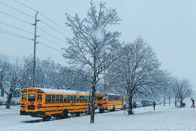 Why do adults act so darn weird about wishing for snow?