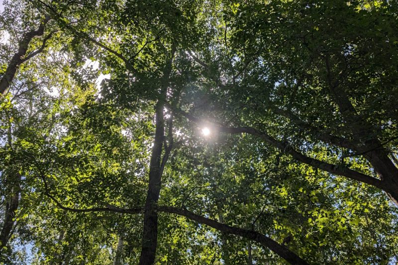 Hot and humid nights drove another summer of record heat across the U.S.