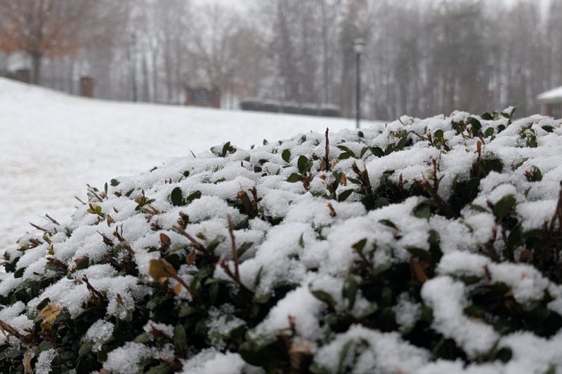 A few spots in the U.S. are running ahead of snow averages as we hid mid-December