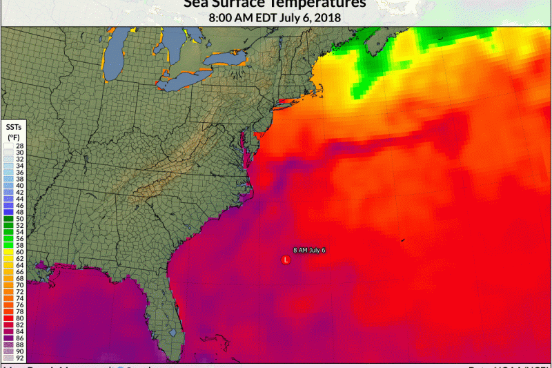 The Stalled Tropical Storm Off the East Coast Cooled the Gulf Stream Beneath It