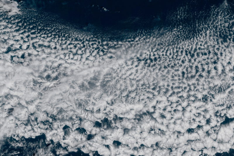 This Is Your World Today | December 31, 2020